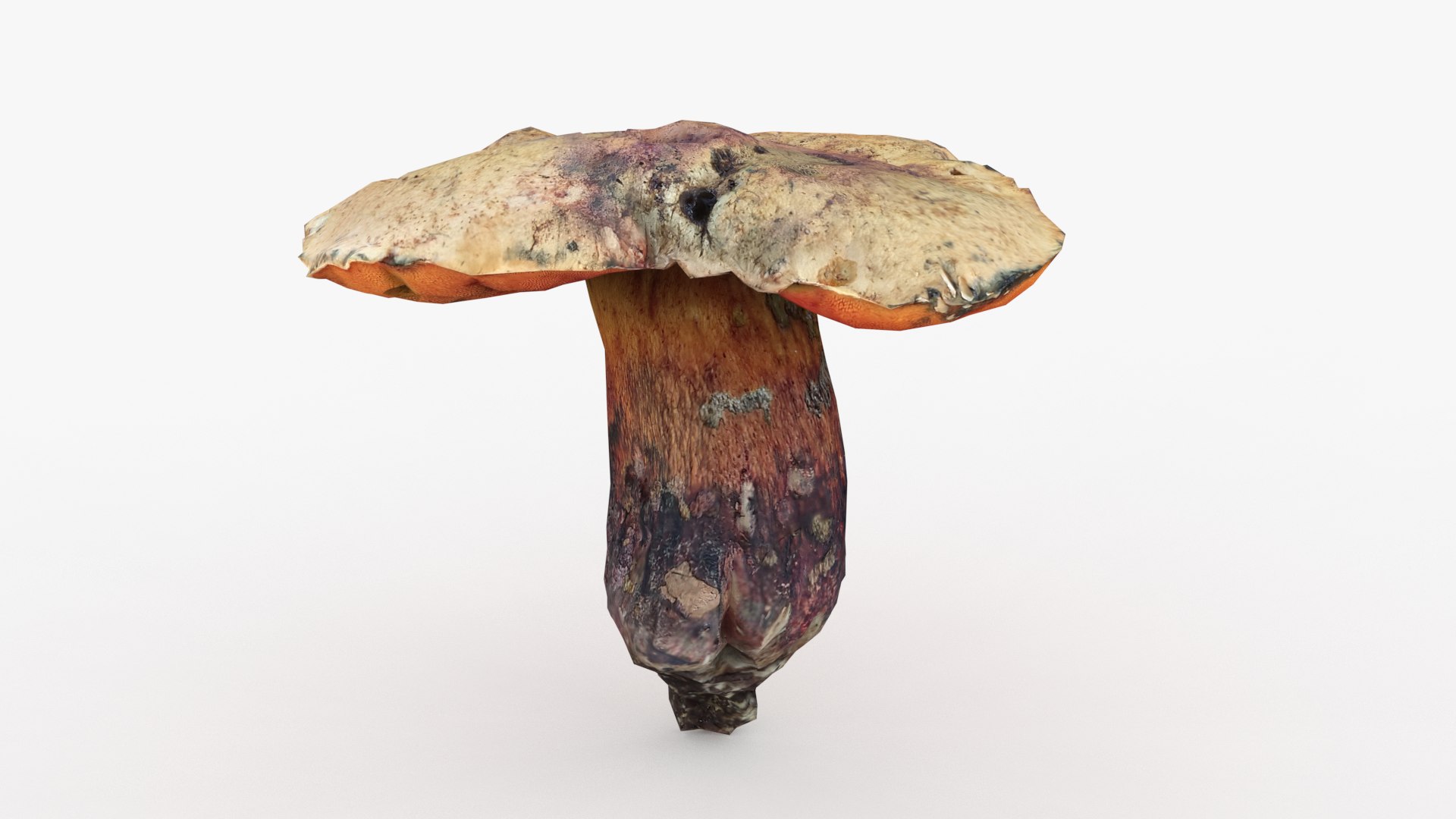 3D Poisonus Mushroom 1 Scan https://p.turbosquid.com/ts-thumb/8M/RN7upD/xo/4/png/1694631580/1920x1080/fit_q87/1f85a4eae7dacbc0da32ea713f9890465a2f9c0c/4.jpg