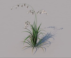 3D leaning meadow grass