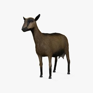 3D Alpine Goat HD
