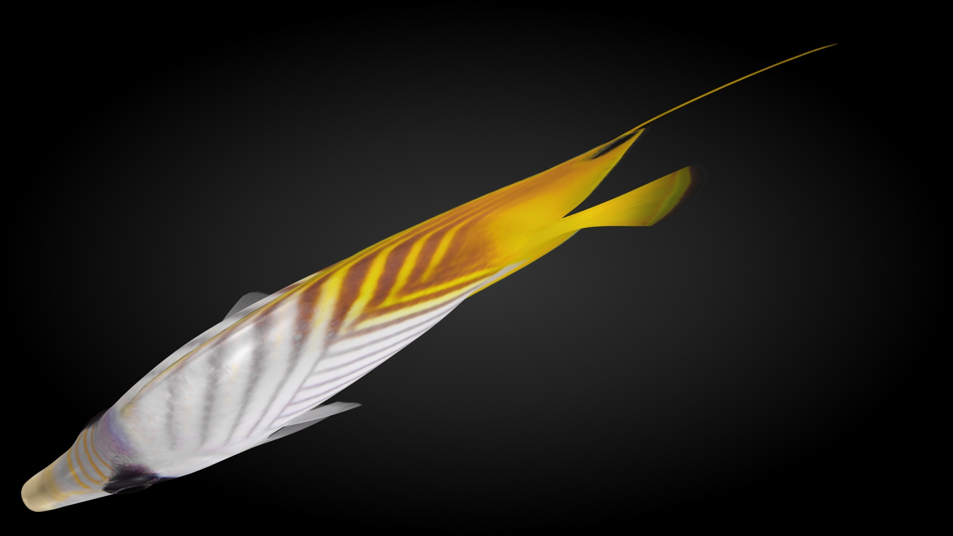 3D Threadfin Butterflyfish Animation - TurboSquid 1519619