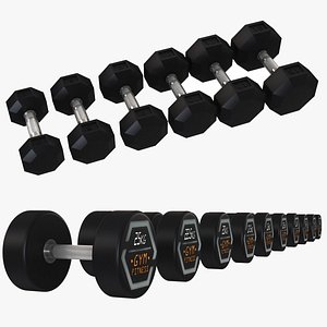 3D model Dumbbell Collection 1