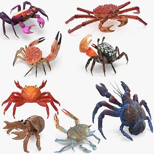 3D crabs 3 rigged