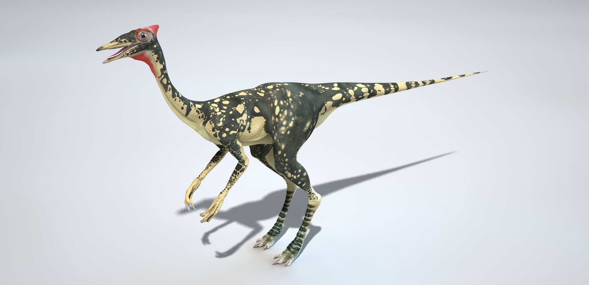 Pelecanimimus 3D https://p.turbosquid.com/ts-thumb/8N/L9wUDt/w1/01/jpg/1654684068/1920x1080/fit_q87/58be49a1e56c71de870ec7c1b830b0caaa68c150/01.jpg