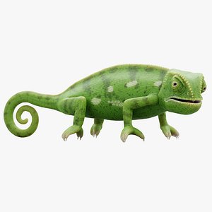 Flap Necked Chameleon Rigged