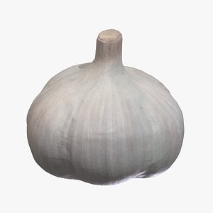 Garlic Low Poly model