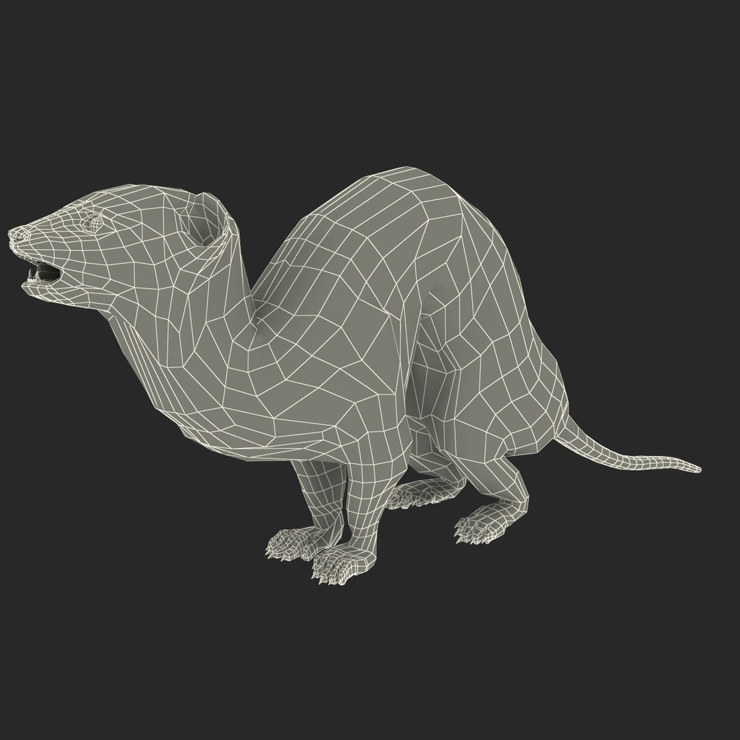 weasel pose 3 fur max https://p.turbosquid.com/ts-thumb/8N/YYVOd4/9zxBuSEo/weaselpose3fur_22/jpg/1384803617/1920x1080/fit_q87/c5c4a3de9256111978657cf5aed5a224c27edcb1/weaselpose3fur_22.jpg