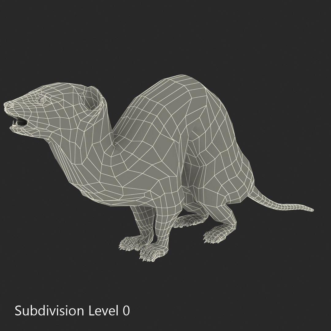 weasel pose 3 fur max https://p.turbosquid.com/ts-thumb/8N/YYVOd4/BWCL48kc/weaselpose3fur_7/jpg/1384803547/1920x1080/fit_q87/c9166a4303480ec1e825d0c2fcf3290897eb8375/weaselpose3fur_7.jpg