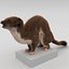 Weasel Pose 3 Fur