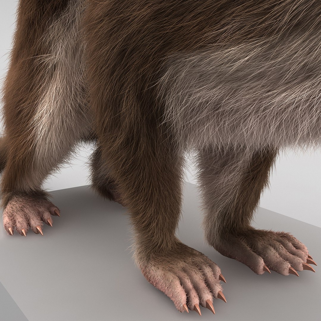 weasel pose 3 fur max https://p.turbosquid.com/ts-thumb/8N/YYVOd4/I81mVdZX/weaselpose3fur_16/jpg/1384803582/1920x1080/fit_q87/21b7545b2ac0a5dec912ddd3a555b292ea6f0fcd/weaselpose3fur_16.jpg
