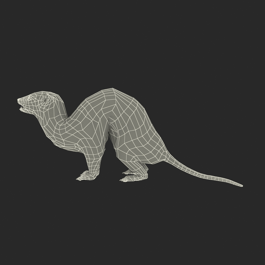 weasel pose 3 fur max https://p.turbosquid.com/ts-thumb/8N/YYVOd4/ID9jUhOQ/turntablefile_361_1.jpgc9f667b68e534e49878eab70fd99a737zoom/jpg/1384803934/1920x1080/turn_fit_q99/366d9c1686450cf8f9d521d1af0dc7d8319a0af1/turntablefile_361_1.jpgc9f667b68e534e49878eab70fd99a737zoom-1.jpg