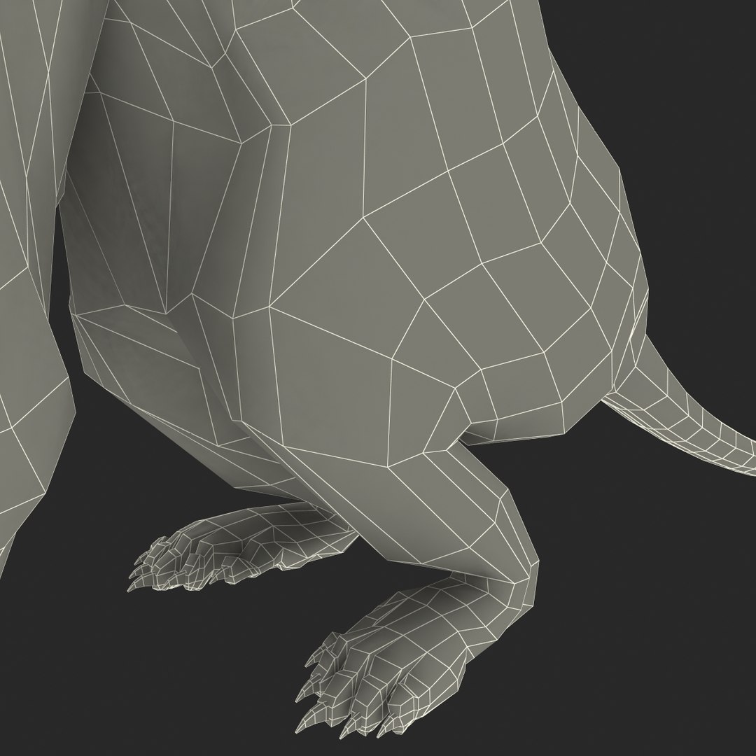 weasel pose 3 fur max https://p.turbosquid.com/ts-thumb/8N/YYVOd4/RjUsfRRJ/weaselpose3fur_30/jpg/1384803650/1920x1080/fit_q87/2cd672bbf97d37c7792cb5c3543b0f9562b68ed9/weaselpose3fur_30.jpg