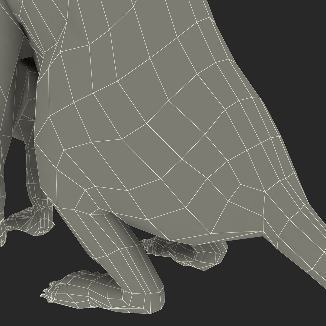 weasel pose 3 fur max https://p.turbosquid.com/ts-thumb/8N/YYVOd4/UG8AmngZ/weaselpose3fur_31/jpg/1384803655/1920x1080/fit_q87/c92f0a1662b35b092dd5c5458fa74bcbf4bfa43e/weaselpose3fur_31.jpg
