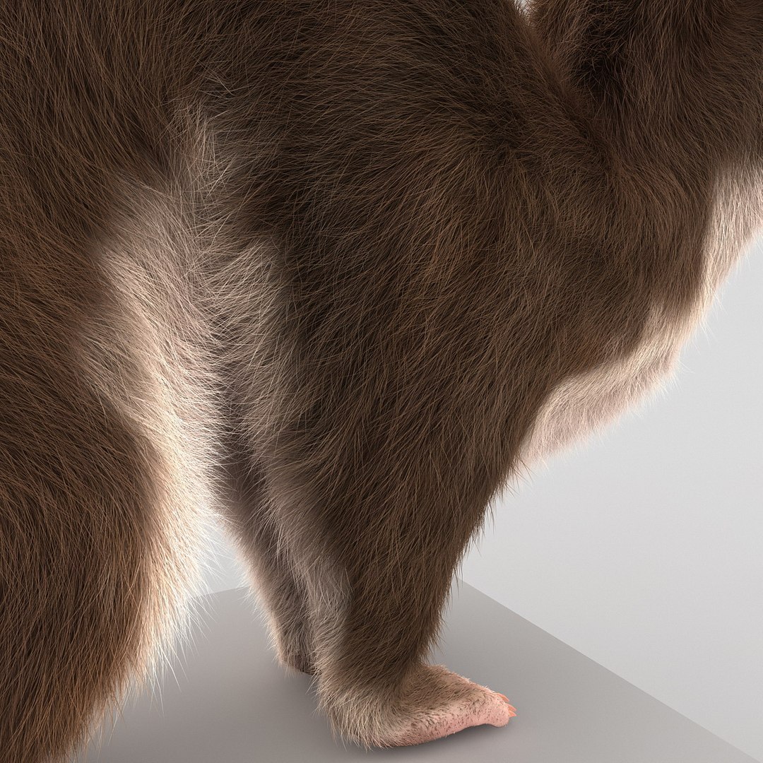 weasel pose 3 fur max https://p.turbosquid.com/ts-thumb/8N/YYVOd4/XKRUiMTC/weaselpose3fur_19/jpg/1384803599/1920x1080/fit_q87/a07d204b2194bf9f6cb60ce55f389c509a579af6/weaselpose3fur_19.jpg
