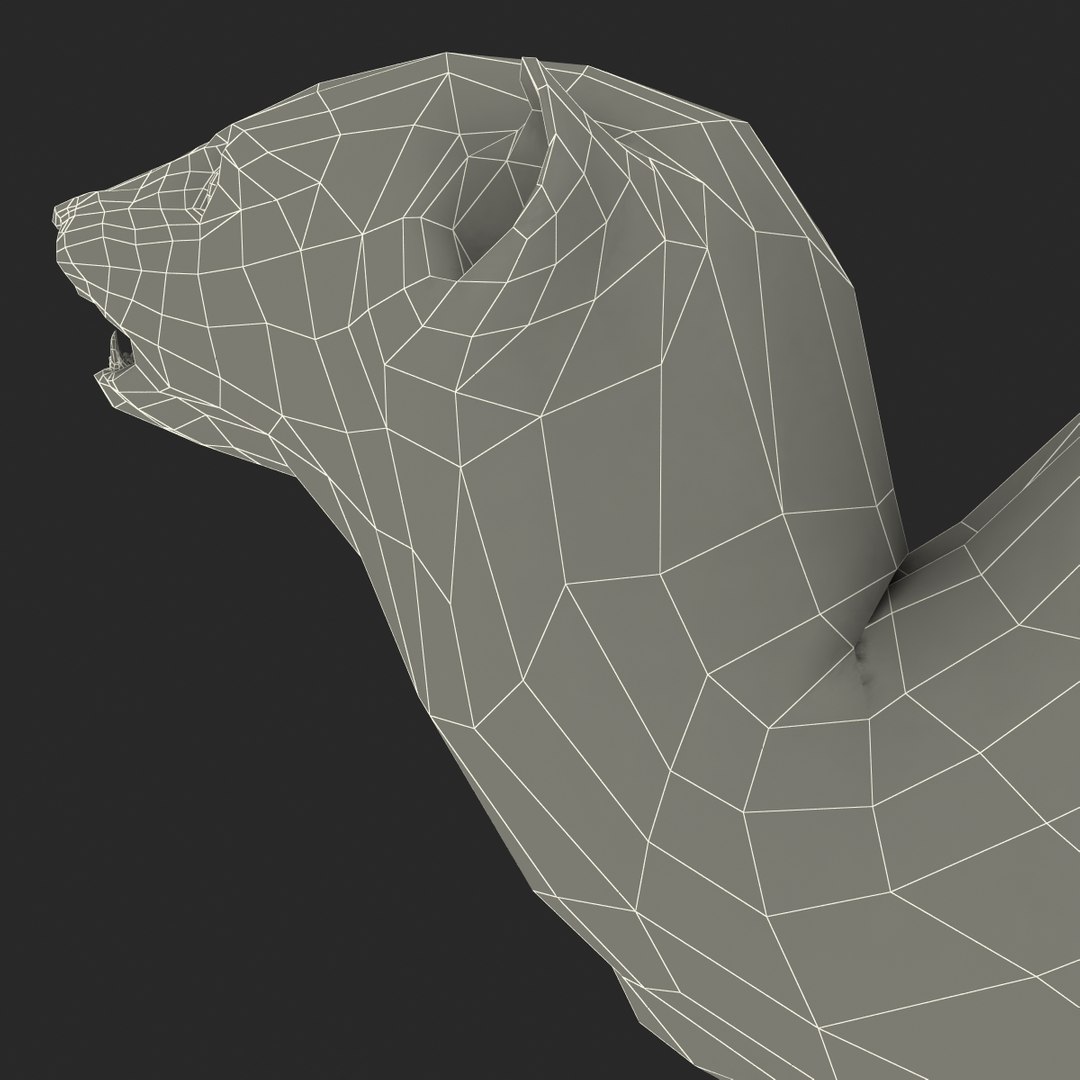 weasel pose 3 fur max https://p.turbosquid.com/ts-thumb/8N/YYVOd4/bthbOIrq/weaselpose3fur_33/jpg/1384803657/1920x1080/fit_q87/75a153708e6066802a7af4ecd1f089498c6416b0/weaselpose3fur_33.jpg