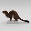 Weasel Pose 3 Fur
