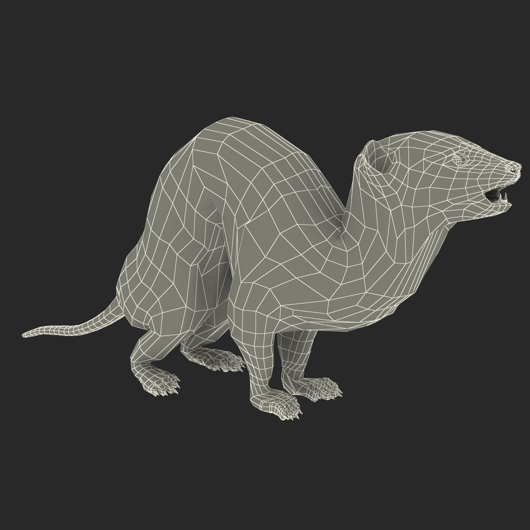 weasel pose 3 fur max https://p.turbosquid.com/ts-thumb/8N/YYVOd4/jG09vzIG/weaselpose3fur_23/jpg/1384803613/1920x1080/fit_q87/7241454cf33c1e07e376109fc2ef27f8e77ad294/weaselpose3fur_23.jpg