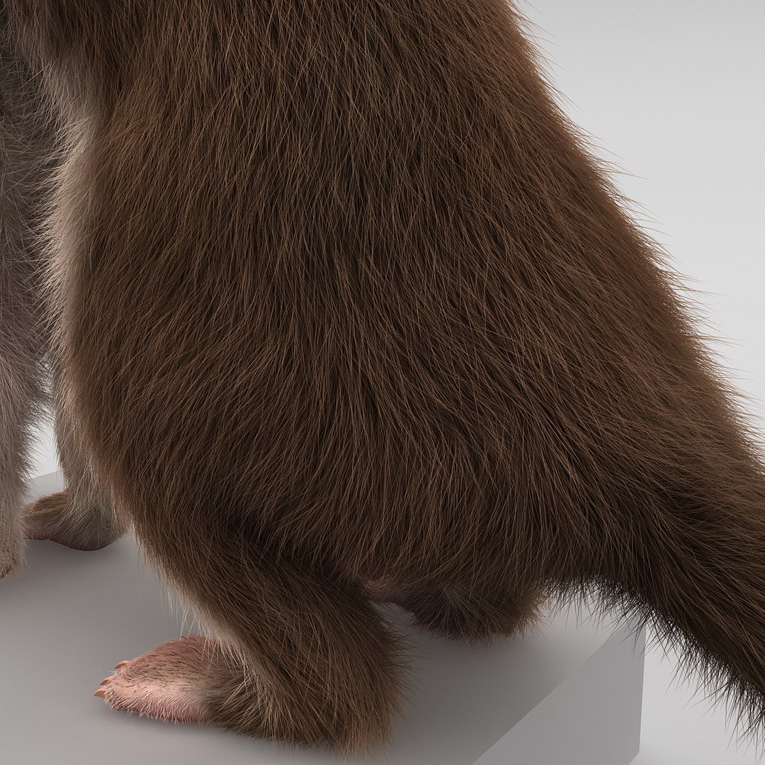 weasel pose 3 fur max https://p.turbosquid.com/ts-thumb/8N/YYVOd4/lCC255WM/weaselpose3fur_18/jpg/1384803589/1920x1080/fit_q87/06d0aec909900dcd46c56553d2911f8c3abe55d9/weaselpose3fur_18.jpg