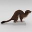 Weasel Pose 3 Fur