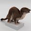 Weasel Pose 3 Fur