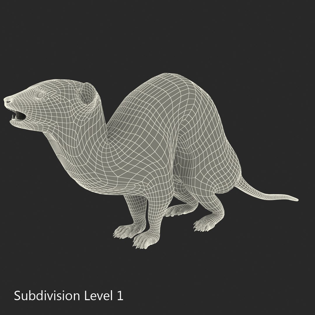weasel pose 3 fur max https://p.turbosquid.com/ts-thumb/8N/YYVOd4/q8LZr78F/weaselpose3fur_8/jpg/1384803558/1920x1080/fit_q87/579594f79f530a75969276134ef1c3166319959f/weaselpose3fur_8.jpg