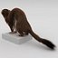 Weasel Pose 3 Fur