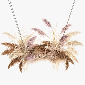 Hanging decor of their dried pampas grass 200 model