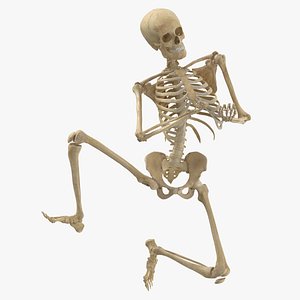 3D Real Human Female Skeleton Pose 73(1)