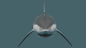 Manta Ray and Shark 2xPack 3D model