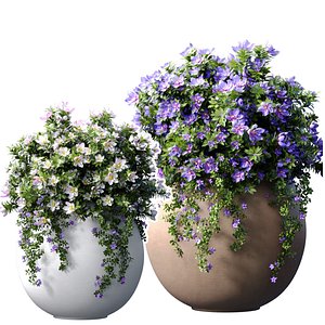Flower beds bouquets Petunia flowers in Luxury classic modern garden pots vases flowerpots 3D model