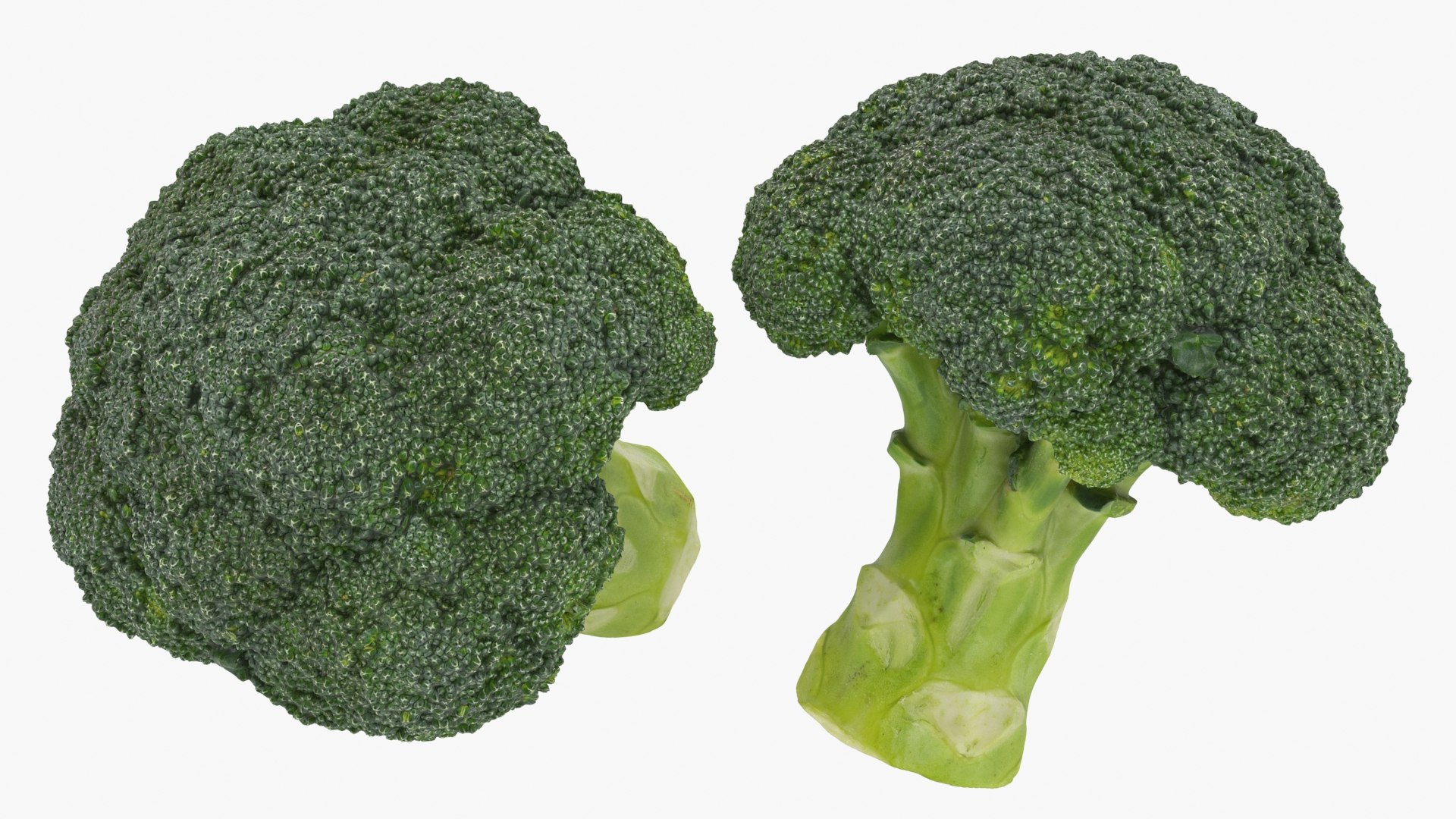 Cruciferous Collection 3D model https://p.turbosquid.com/ts-thumb/8O/9ALjdD/6U/wholebroccoli_a0002/jpg/1646469573/1920x1080/fit_q87/15a57c7469fd6fbd7ad110a84172fbac31048d09/wholebroccoli_a0002.jpg