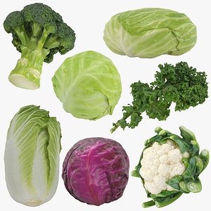 Cruciferous Collection 3D model