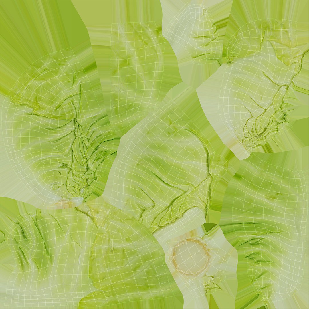 Cruciferous Collection 3D model https://p.turbosquid.com/ts-thumb/8O/9ALjdD/9F/cabbage_d0004/jpg/1721153720/1920x1080/fit_q87/d51e005b79399e4b62208fa1d6d2a6ffcd3bf809/cabbage_d0004.jpg