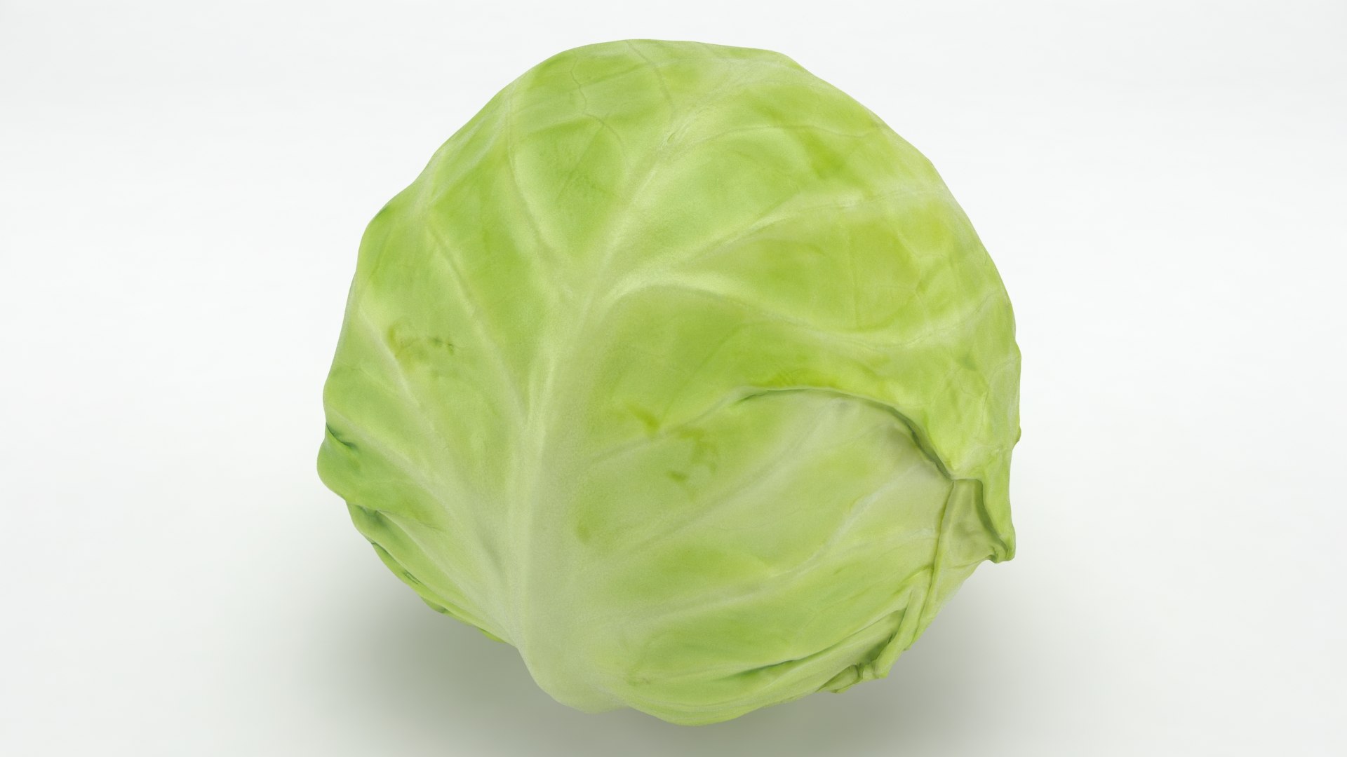Cruciferous Collection 3D model https://p.turbosquid.com/ts-thumb/8O/9ALjdD/EW/cabbage_a0001/jpg/1645872505/1920x1080/fit_q87/4aa78817c90ab9da646992dd4caede9bbfc173cc/cabbage_a0001.jpg