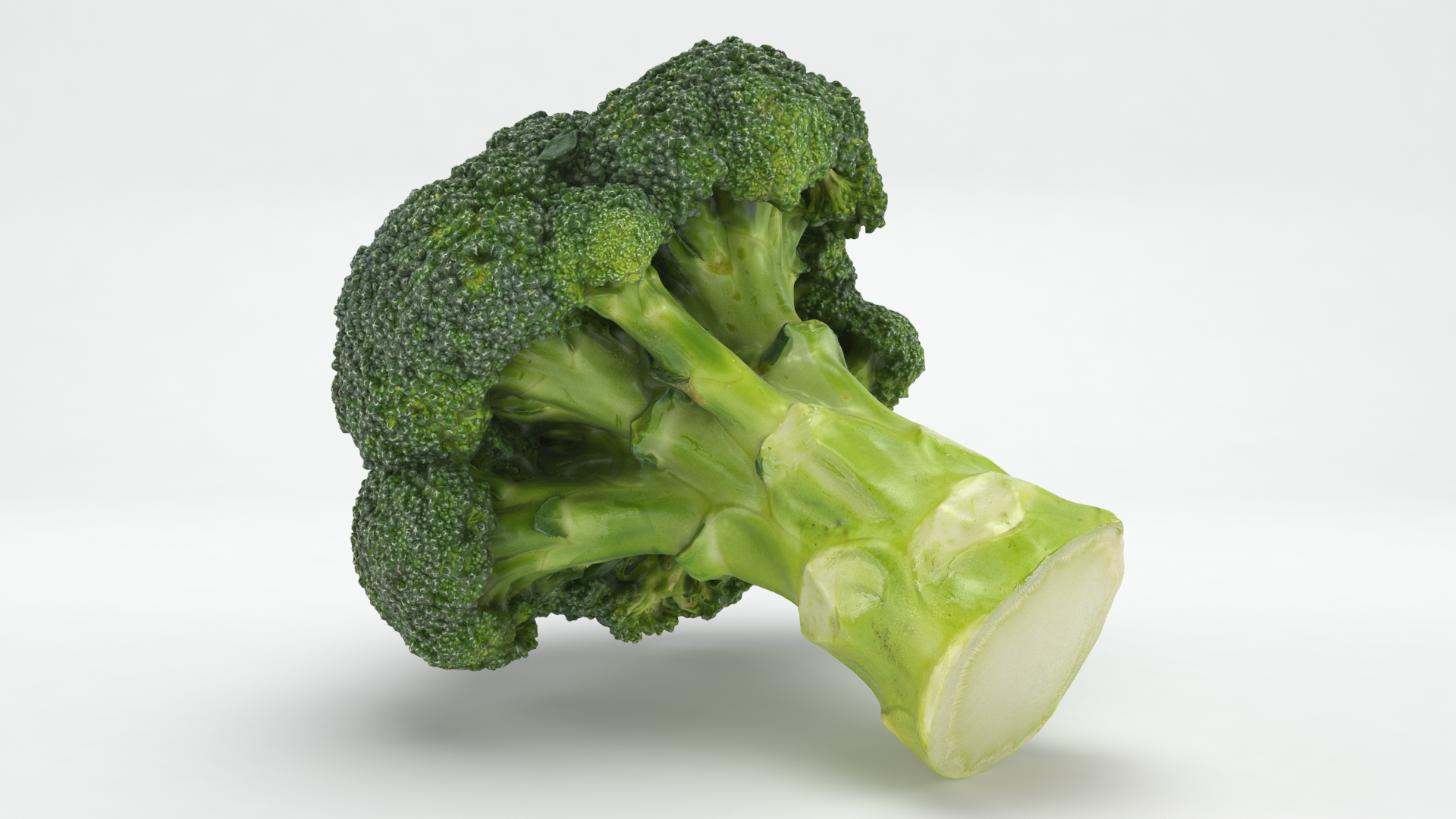 Cruciferous Collection 3D model https://p.turbosquid.com/ts-thumb/8O/9ALjdD/PU/wholebroccoli/jpg/1646469501/1920x1080/turn_fit_q99/f722296b064b5bc9569095fb132f26ca16a0169b/wholebroccoli-1.jpg