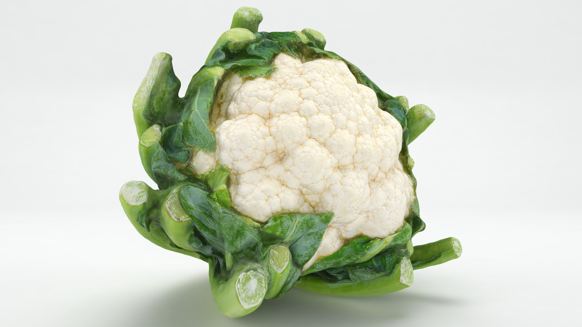 Cruciferous Collection 3D model https://p.turbosquid.com/ts-thumb/8O/9ALjdD/SH/cauliflower_a0001/jpg/1642317305/1920x1080/fit_q87/778573cbcc47abc9aaa34849fa44f144f4643abe/cauliflower_a0001.jpg