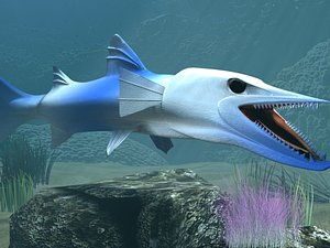 Killer Barracuda