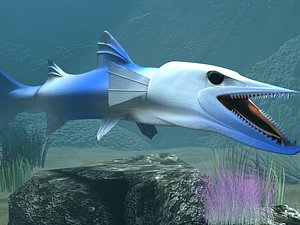 Killer Barracuda