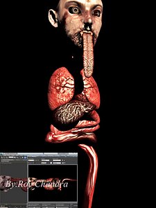 3d leak bali model