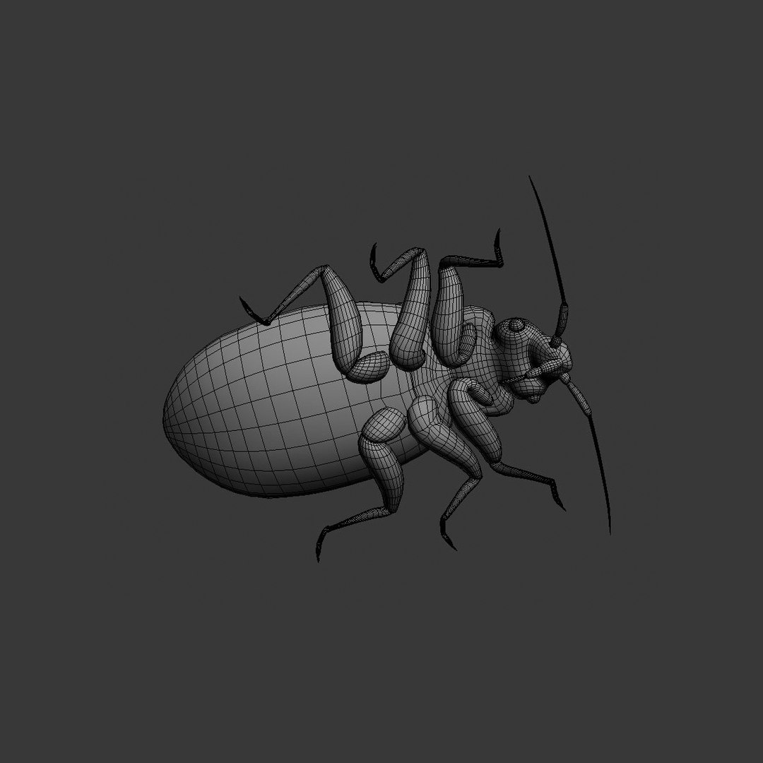 bed bug max https://p.turbosquid.com/ts-thumb/8O/KHDcap/3AFgKpNV/bedbug_wire01/jpg/1405900212/1920x1080/fit_q87/b9fcc6364a65073a6f2ed2f0deb41142ac9d66c9/bedbug_wire01.jpg
