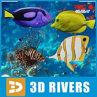 Coral fish set by 3DRivers