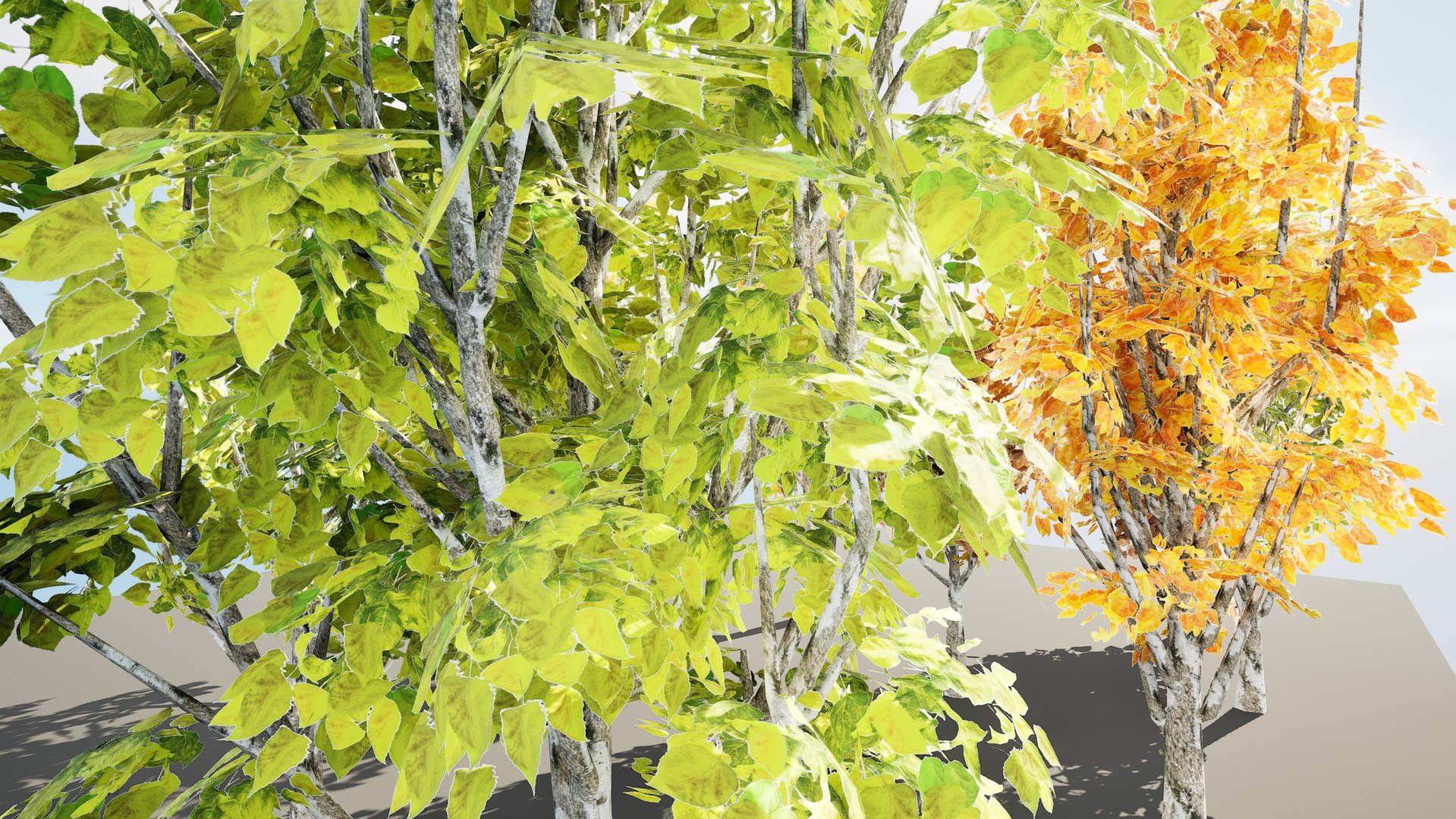 low poly Italian Poplar trees 3d pack 3D https://p.turbosquid.com/ts-thumb/8O/VDfP9r/IU/highresscreenshot00010/jpg/1706311139/1920x1080/fit_q87/906980f2f79db93bf83ee9c73d982e88709efacb/highresscreenshot00010.jpg
