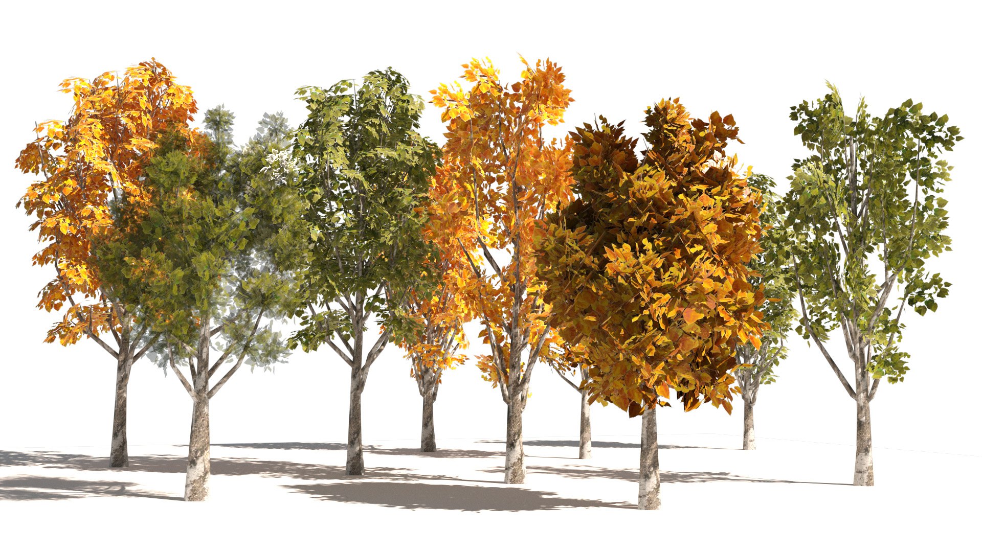 low poly Italian Poplar trees 3d pack 3D https://p.turbosquid.com/ts-thumb/8O/VDfP9r/Tt/z01.rgb_color.0000/jpg/1706311134/1920x1080/fit_q87/6bd9257aad2d25df2008b8c651187e09966b48ce/z01.rgb_color.0000.jpg