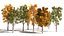 low poly Italian Poplar trees 3d pack