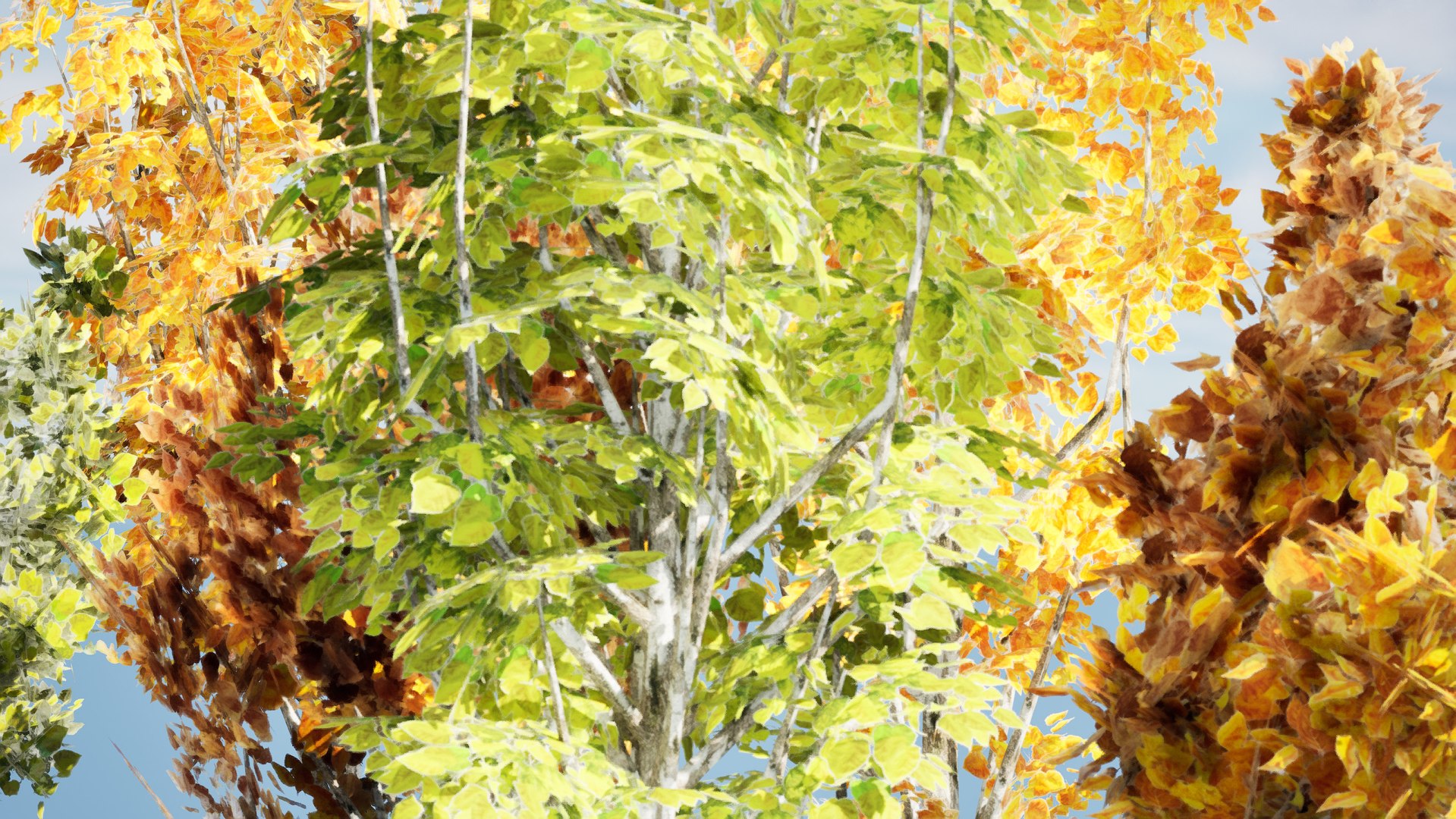 low poly Italian Poplar trees 3d pack 3D https://p.turbosquid.com/ts-thumb/8O/VDfP9r/vq/highresscreenshot00001/jpg/1706311137/1920x1080/fit_q87/13faf9a14dca68faeaed4392edeb86bab7bc784f/highresscreenshot00001.jpg
