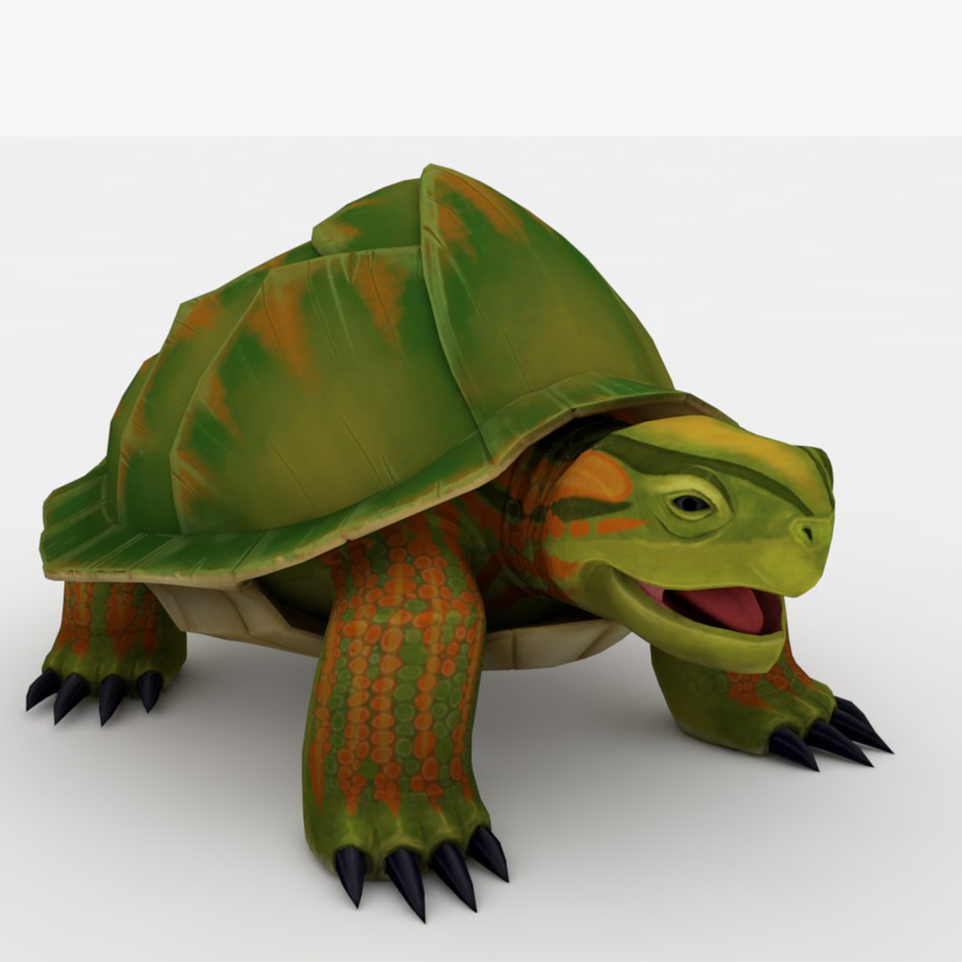 乌龟绑定和动画3D模型 - TurboSquid 2335219