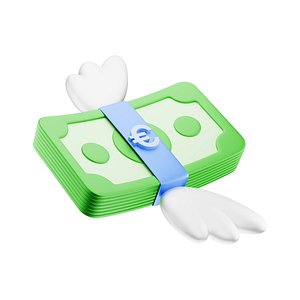 Banknote Euro Stack Wings Icon