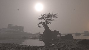 The Last Tide - Free Environment