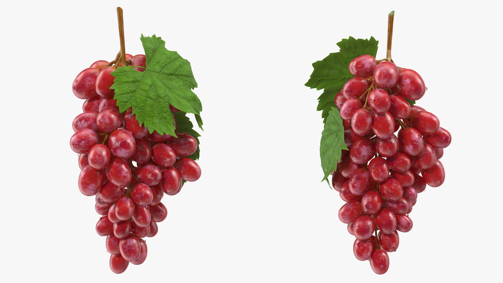 Bunch of Pink Grapes 3D model preview