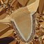 Caramel Nut Tart - 3D Scanned