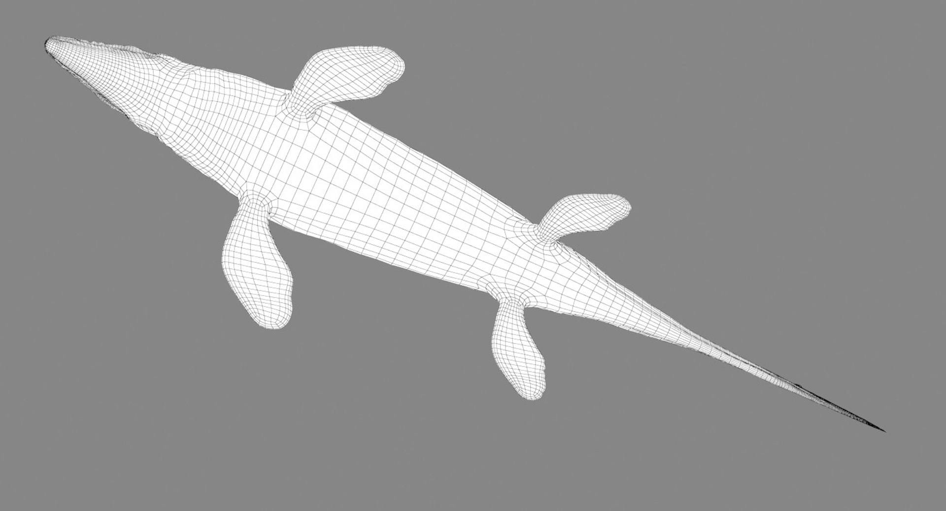 rigged mosasaurus 3D model https://p.turbosquid.com/ts-thumb/8O/tBVNNp/1jfuZzvH/mosa_wire_03/jpg/1546002808/1920x1080/fit_q87/1891ff2a604bc4f75d71ad23088c6123f14aca0f/mosa_wire_03.jpg